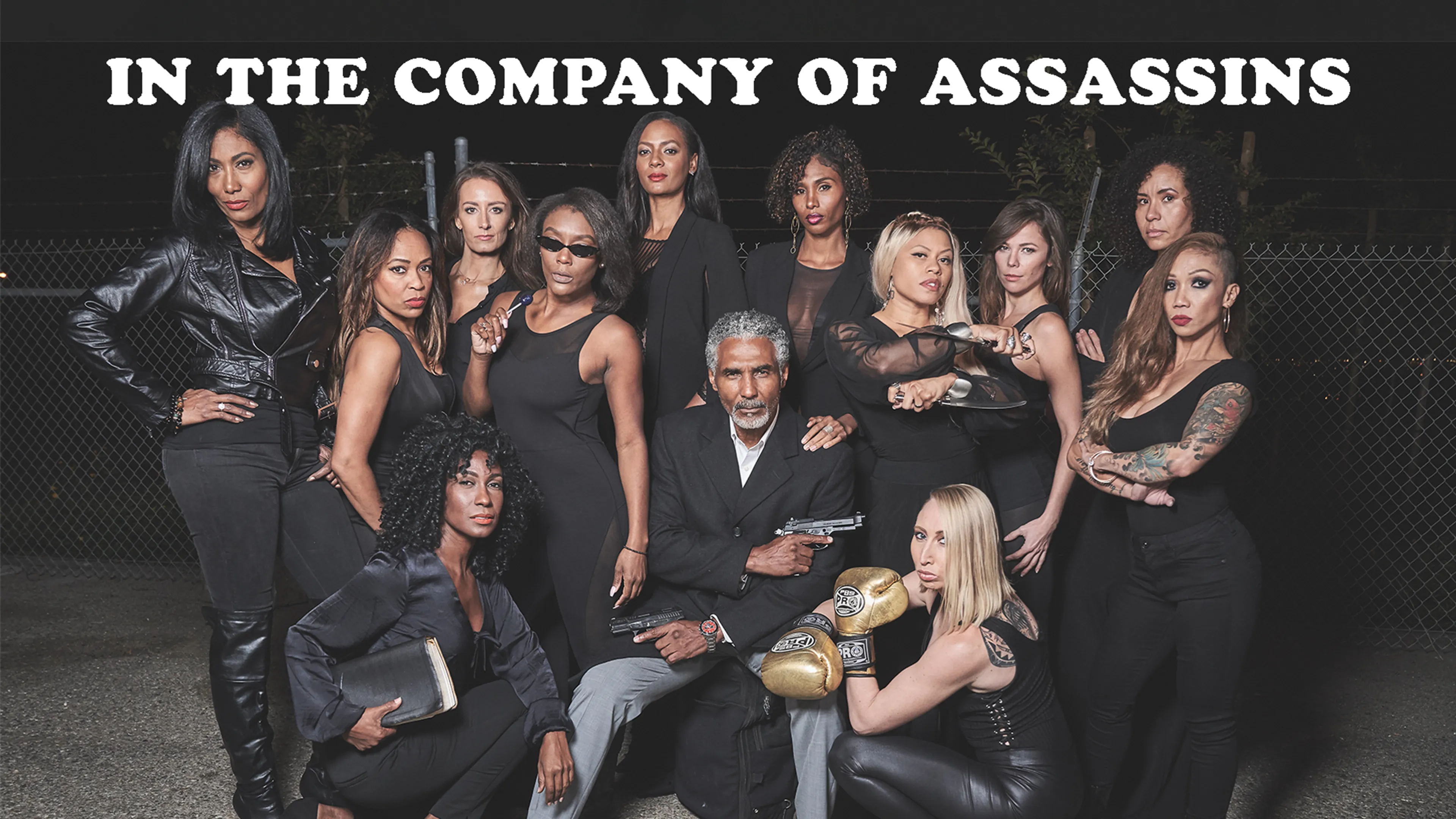 In the Company of Assassins poster